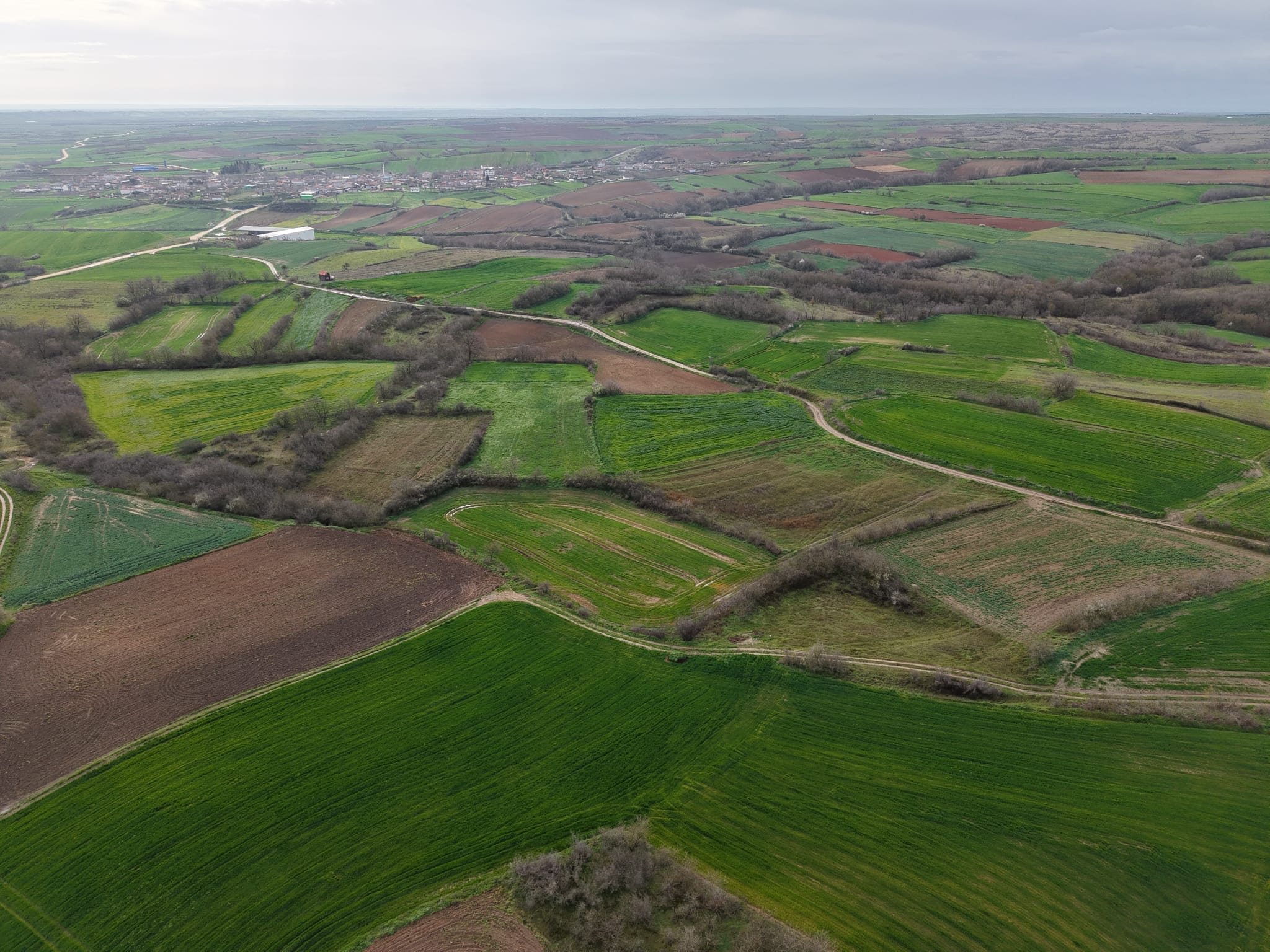 WhatsApp Image 2026 03 30 at 14.58.47